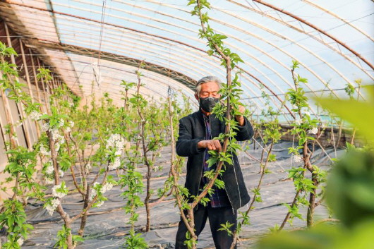 銅城復蘇：春光明媚，邀你共賞芳華（組圖）