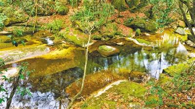甘肅旅游丨八福溝，西秦嶺深處的水韻秘境