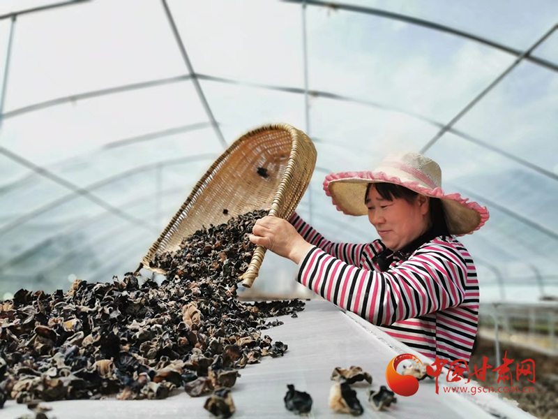 康縣：木耳菌袋結(jié)出脫貧致富的“幸?；ā?>
        </a><em>康縣：木耳菌袋結(jié)出脫貧致富的“幸?；ā?/em></li>
    <li><a  target=