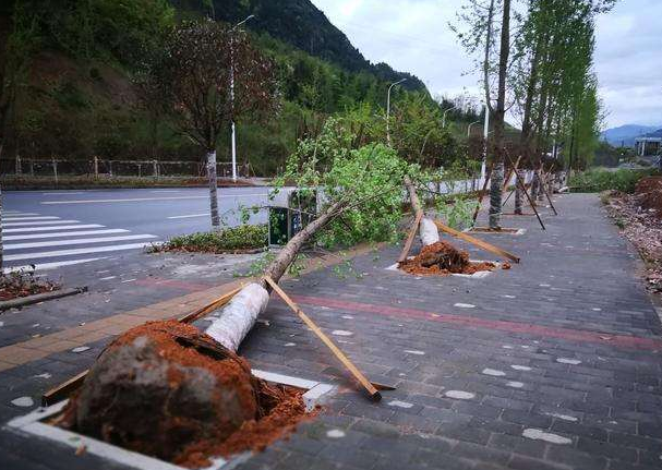 刮風(fēng)下雨加速新冠病毒傳播？別信！