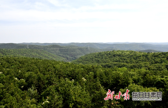 【甘肅生態(tài)環(huán)保媒體行】子午嶺深處，一家三代人用生命守護黃土高原的“天然生態(tài)屏障”