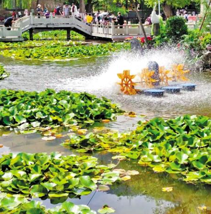 走，到五泉山公園看花展去