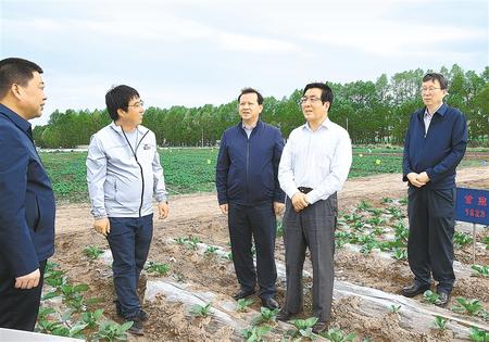 林鐸在天?？h調研指導脫貧攻堅工作時強調  拉開架勢持續(xù)用力構建扶貧產業(yè)體系 多措并舉固強補弱鞏固提升脫貧成果