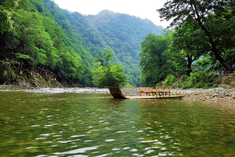 【小隴畫報·95期】康縣：來陽壩，“森”呼吸，我“氧”你