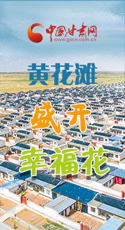 【跟著總書記看甘肅】長圖|武威黃花灘盛開幸?；?