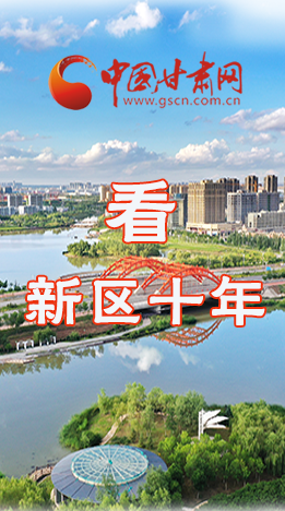 圖解|崛起！新區(qū)十年