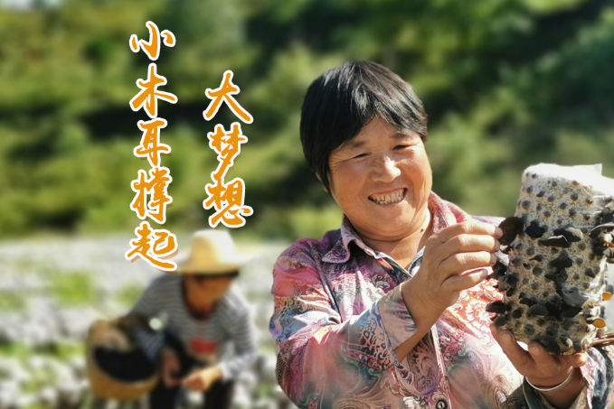 海報(bào)丨他們，乘“豐”破浪！