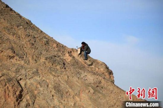 圖為敦煌“80后”畫家張杰龍在敦煌三危山里采集礦石顏料。(資料圖)受訪者供圖
