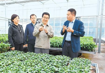 林鐸在民勤縣調(diào)研指導(dǎo)工作時強調(diào) 堅持生態(tài)優(yōu)先 培育特色產(chǎn)業(yè) 促進(jìn)經(jīng)濟(jì)發(fā)展和生態(tài)保護(hù)雙贏
