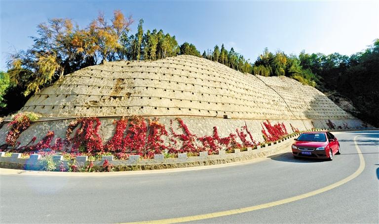 近90度陡坡上種樹！蘭州南北兩山綠化出新招