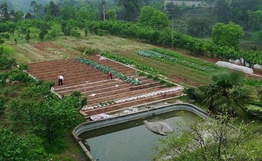甘肅省加快推動家庭農場數(shù)量質量雙提升