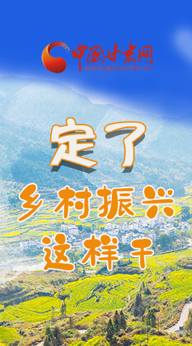 圖解|定了！全面推進(jìn)鄉(xiāng)村振興這樣干！