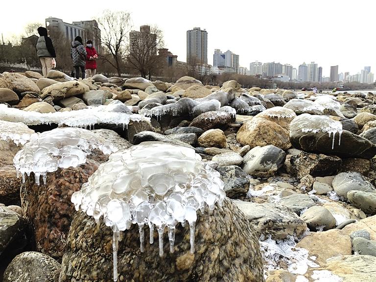 蘭州：水母上河灘？