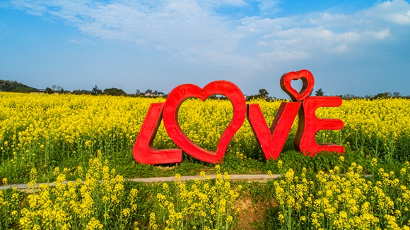“l(fā)ove”創(chuàng)意拍照墻。廖濤 攝