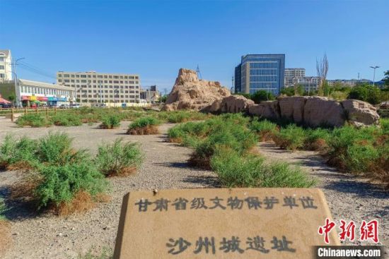 圖為沙州郡城遺址公園古遺址?！⊥醣筱y 攝
