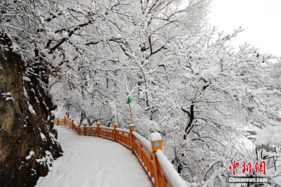 圖為上山的石階被雪覆蓋。張?zhí)鞂?攝