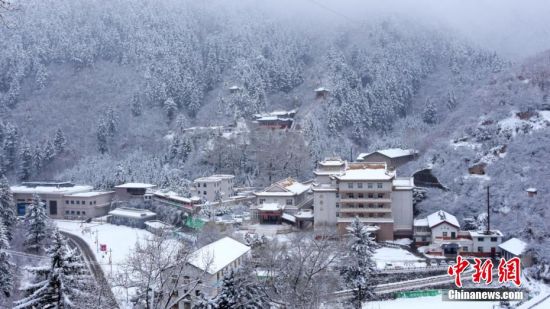 圖為籠罩在雪下的世界。吳永 攝