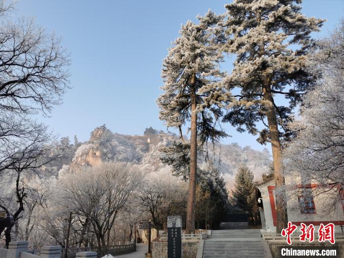 圖為崆峒山霧凇景色美不勝收?！⌒煺袢A 攝