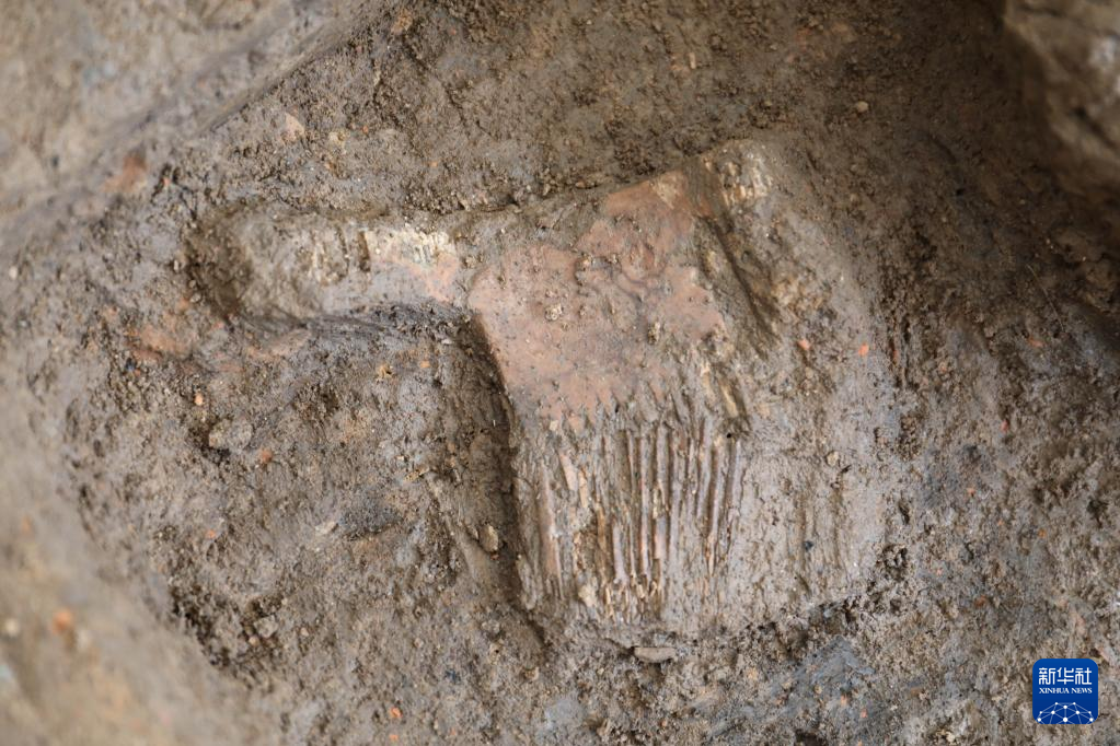 河南南陽市黃山新石器時(shí)代遺址出土的屈家?guī)X文化骨梳（資料圖）。