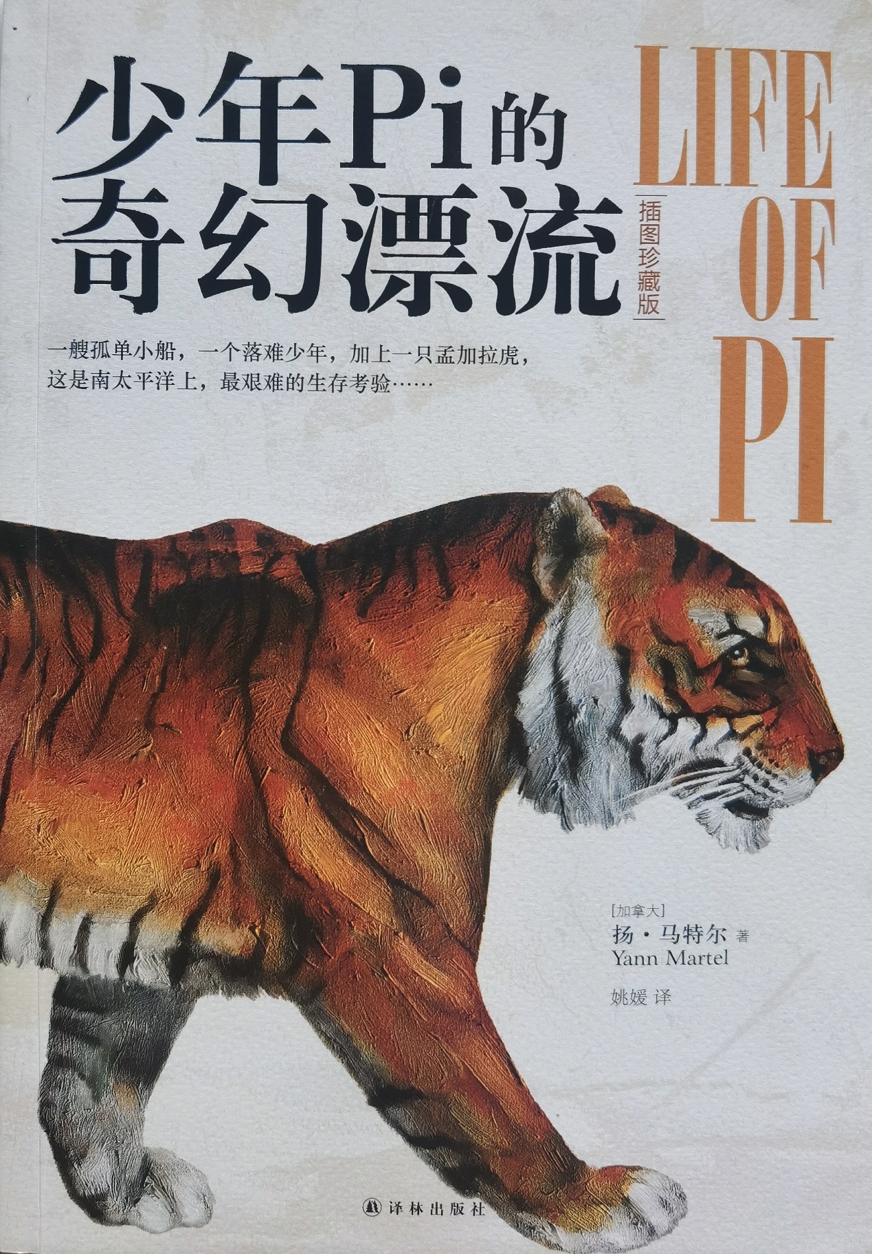 插圖1：揚(yáng)？馬特爾的小說《少年pi的奇幻漂流》封面