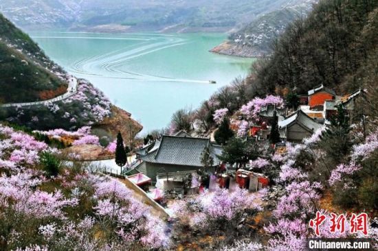 甘肅平涼市是中國優(yōu)秀旅游城市。圖為平涼崆峒山下十里桃花盛開。(資料圖) 平涼市委宣傳部供圖