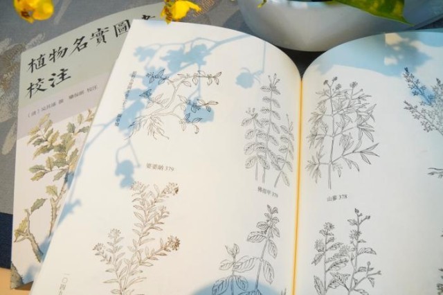 《植物名實(shí)圖考校注》內(nèi)頁(yè)。圖片來(lái)源：中華書(shū)局供圖