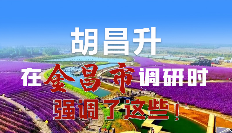 圖解|胡昌升在金昌市調(diào)研時強調(diào)了這些！