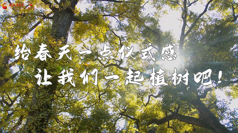 短視頻|給春天一點(diǎn)儀式感，讓我們一起植樹吧！