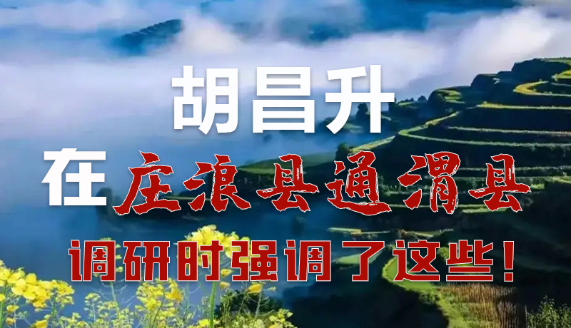 圖解|胡昌升在莊浪縣通渭縣調研時強調了這些！
