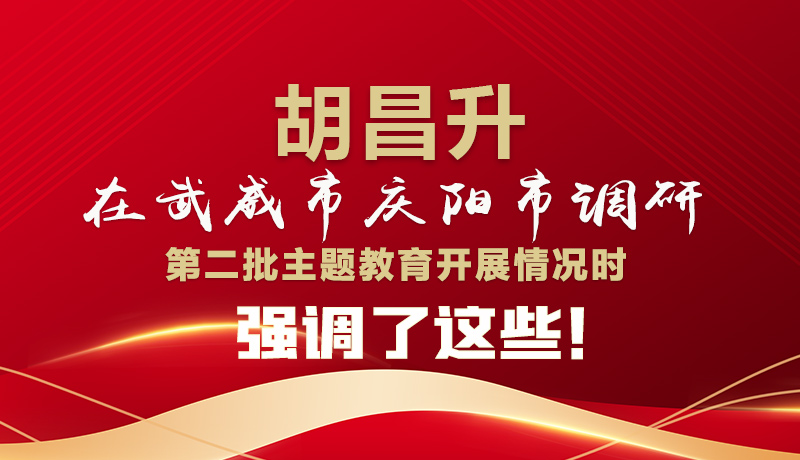 圖解|胡昌升在武威市慶陽市調(diào)研第二批主題教育開展情況時強調(diào)了這些！