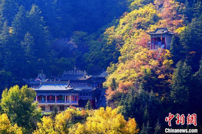 深秋，位于蘭州市榆中縣的興隆山景色如畫。宮衛(wèi)紅 攝
