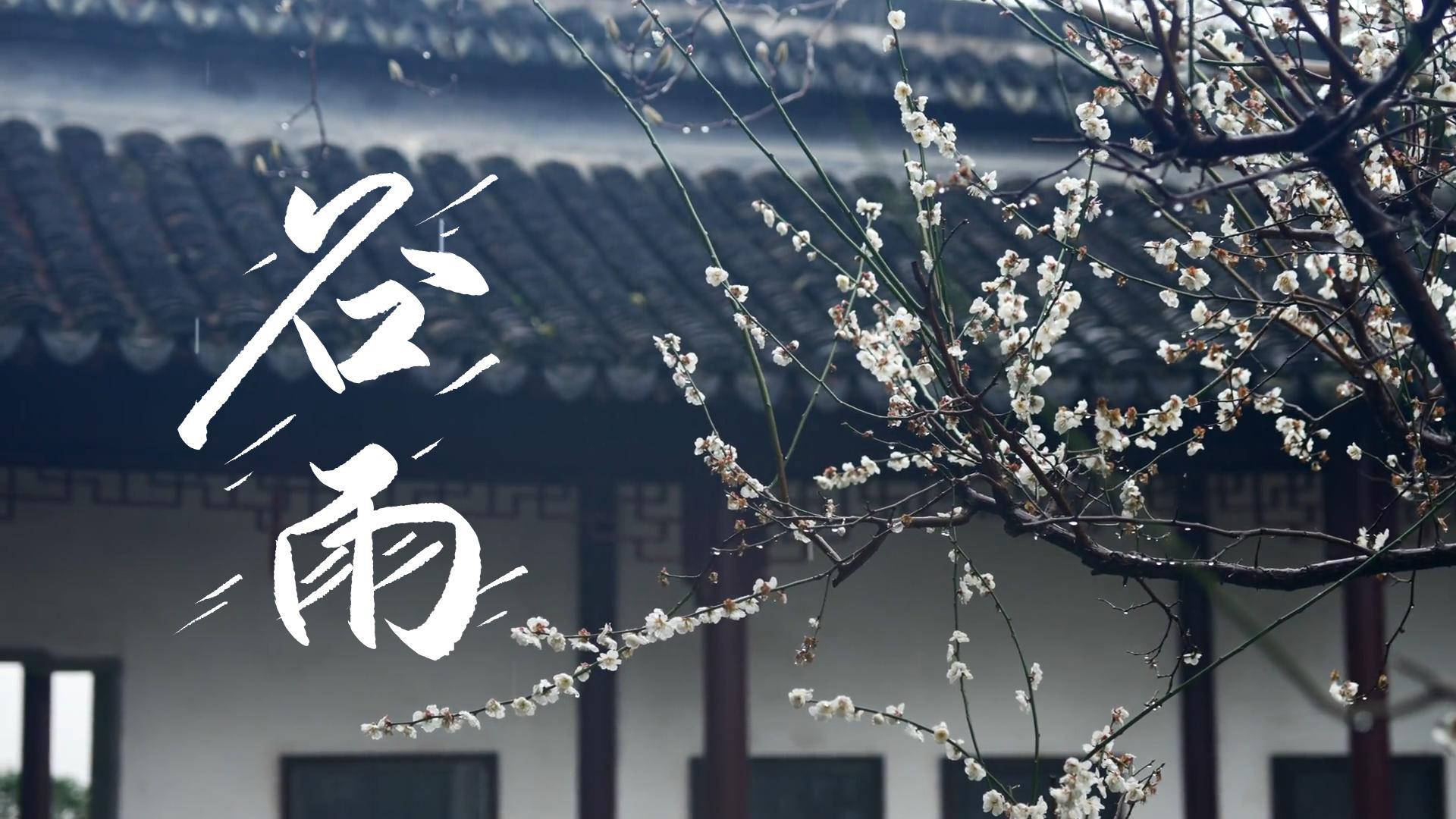 【節(jié)氣里的大美甘肅】谷雨，春天的最后一次回眸