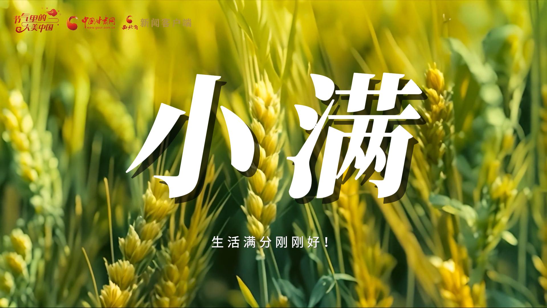 【節(jié)氣里的大美甘肅·小滿】生活滿分剛剛好！