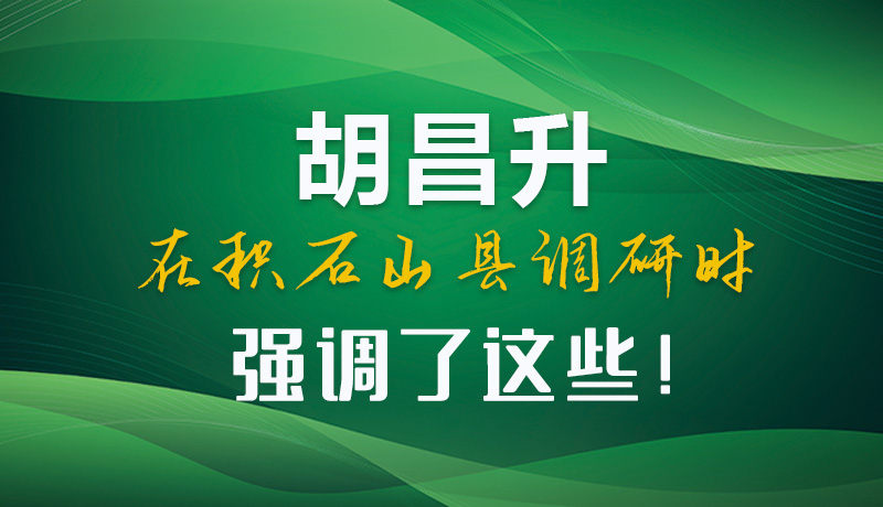 圖解|胡昌升在積石山縣調(diào)研時(shí)強(qiáng)調(diào)了這些！
