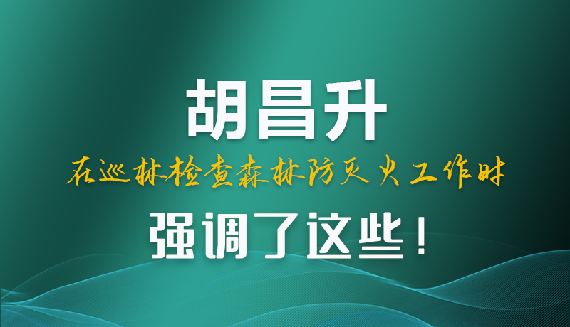 圖解|胡昌升在巡林檢查森林防滅火工作時(shí)強(qiáng)調(diào)了這些！
