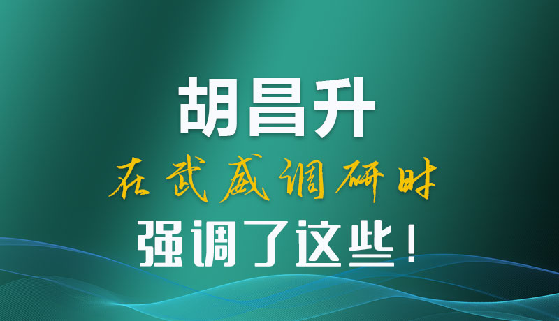 圖解|胡昌升在武威調(diào)研時強調(diào)了這些！