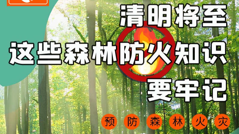 【甘快看】圖解|緊繃“安全弦”！清明，這些森林防火知識要牢記