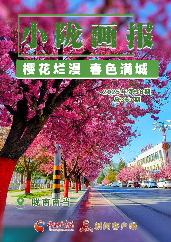【小隴畫(huà)報(bào)·367期】?jī)僧?dāng)： 櫻花爛漫 春色滿(mǎn)城