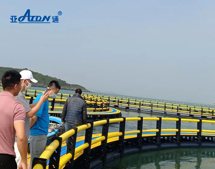 品質(zhì)亞通 | 在風(fēng)浪中前行，可抗12級臺風(fēng)的的深海網(wǎng)箱