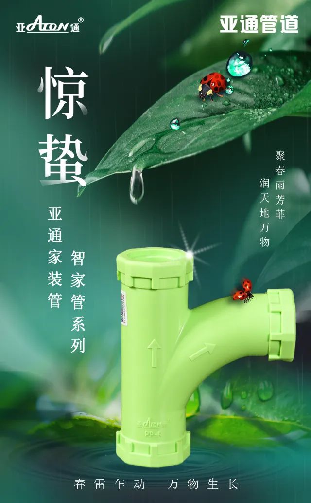 驚蟄 | 聚春雨芳菲，潤天地萬物