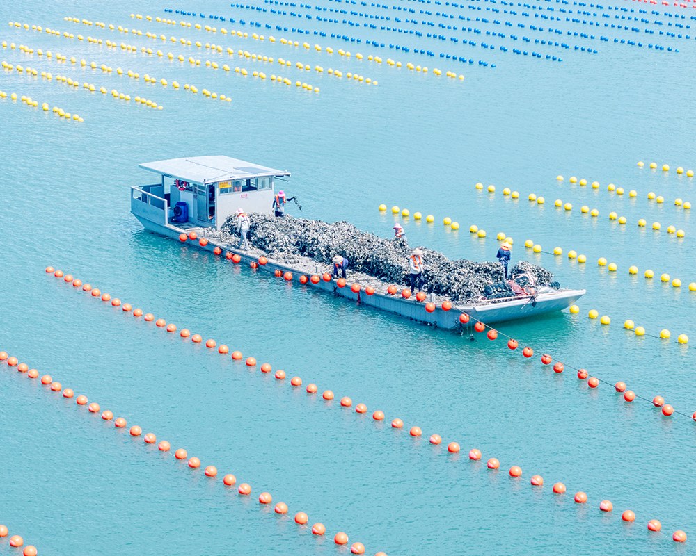 亞通海洋養(yǎng)殖裝備設施系統(tǒng)-筏式吊養(yǎng)浮球