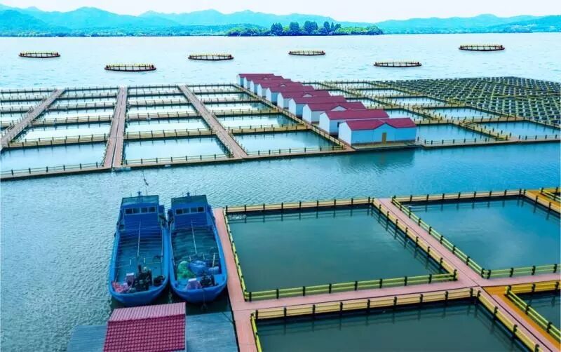 1598006904122821.jpg QQ圖片20200821175636.jpg