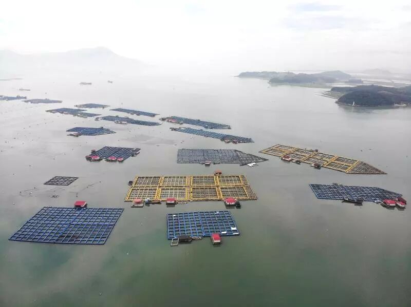 1598006915321361.jpg QQ圖片20200821175652.jpg