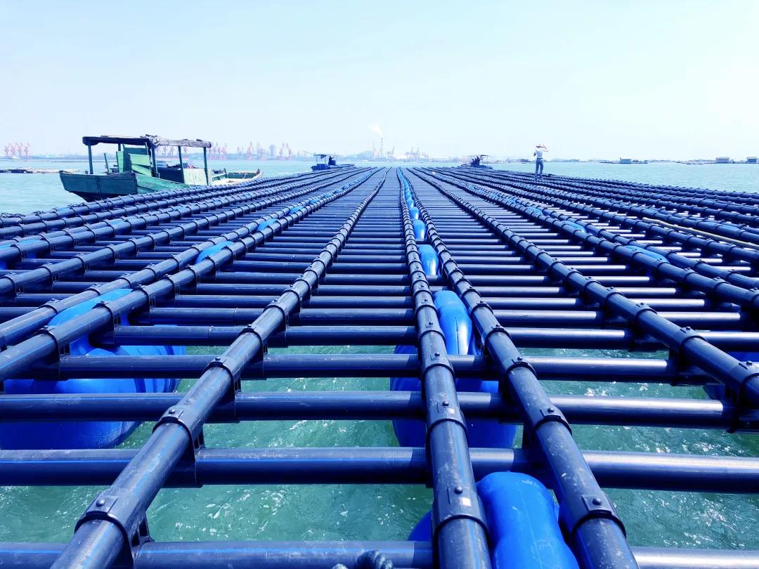 1642390174114955.jpg 7.jpg