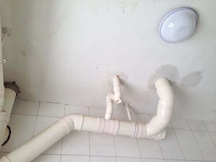 1647423688134478.jpg 13.jpg