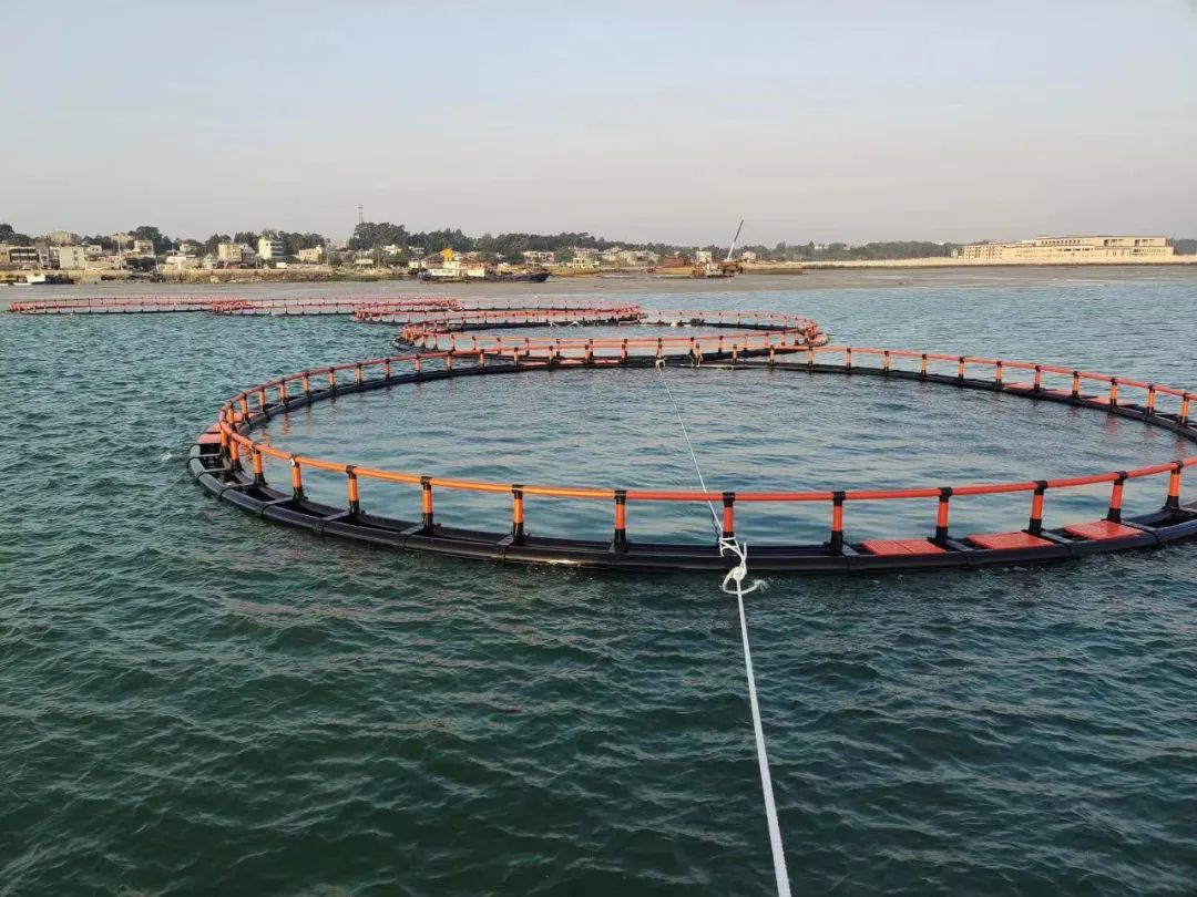 1650263577124232.jpg 6.jpg