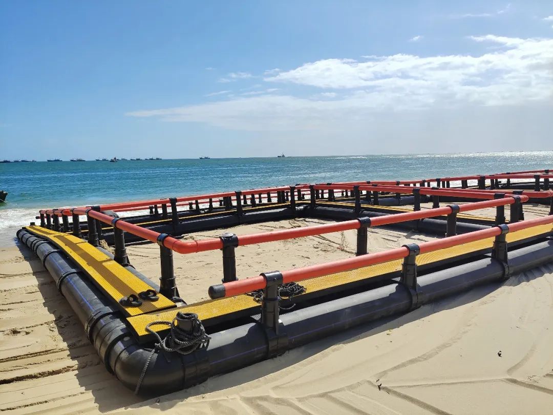 1650263603415988.jpg 8.jpg