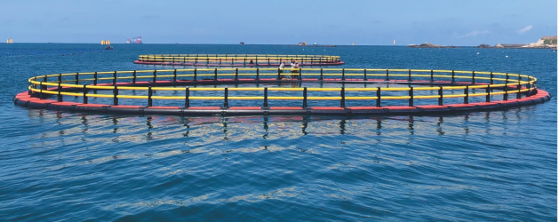 1650263650138657.png 10.png