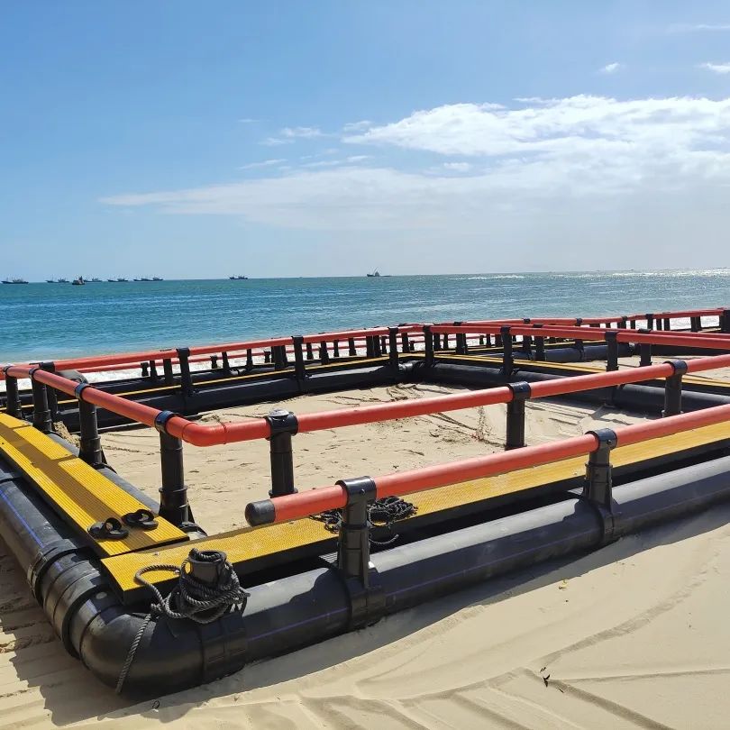 1650264159573828.jpg 4.jpg