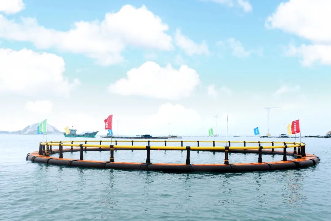 1655946659663033.jpg 21.jpg